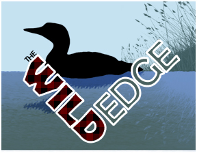 Wild Edge Banner 4