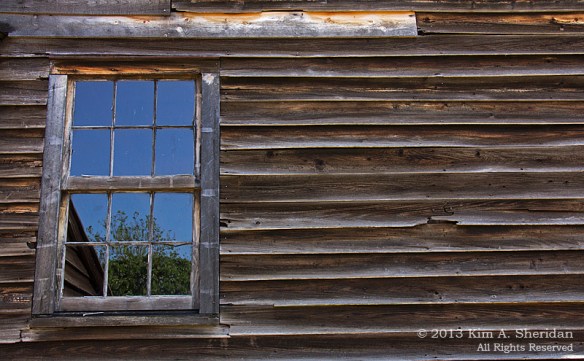 Pine Barrens Batsto a_3198