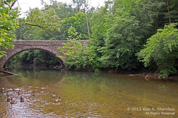 1 Wissahickon_4471 a