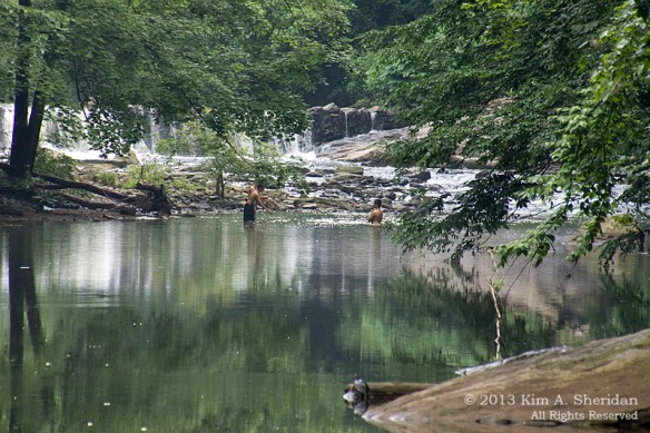 1 Wissahickon_4480 a