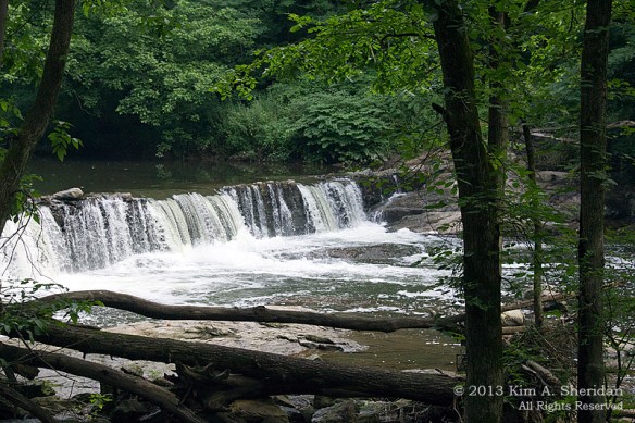 1 Wissahickon_4487 a