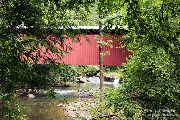 1 Wissahickon_4690 a