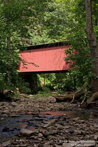 1 Wissahickon_4719 a