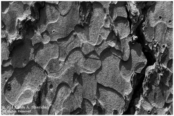 BND Alcove House_1511 acs