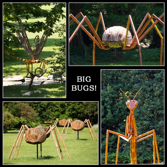 Bug Collage
