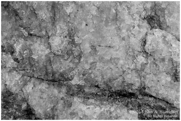 Haverford Reserve_0091 acs