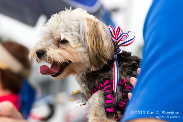 Parade_4646a ACS Print