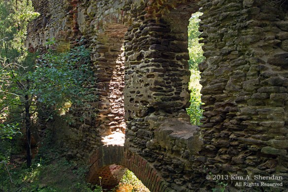 Pine Barrens Harrisville_3314 a