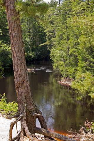 Pine Barrens Marthas Furnace_3397 a2