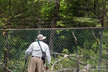 Pine Barrens Marthas Furnace_3439 a