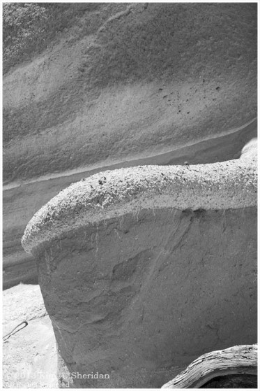 TR Canyon Trail_2772 acs