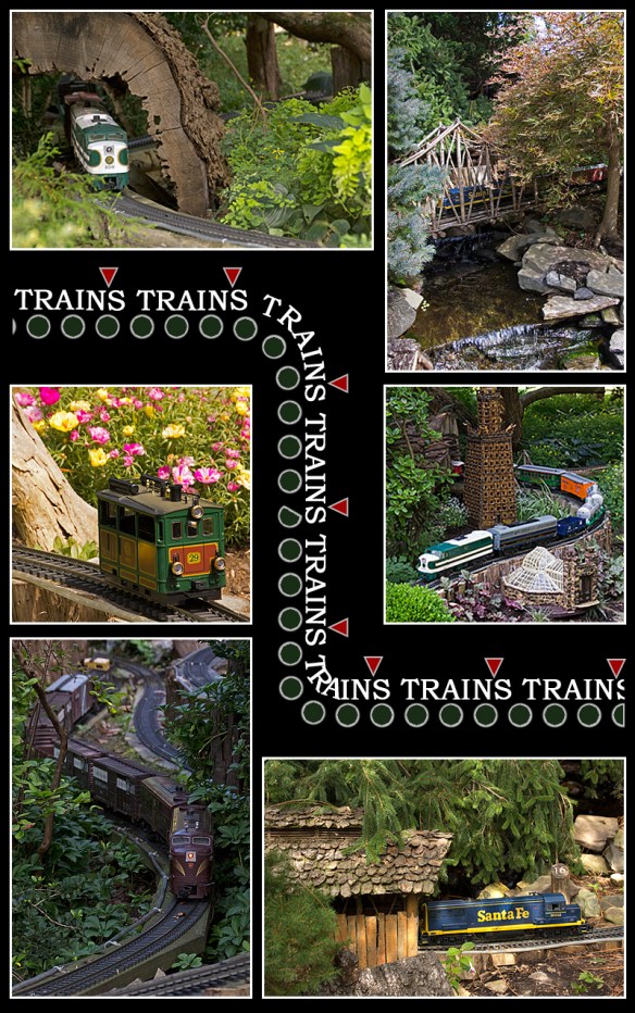 Train Collage