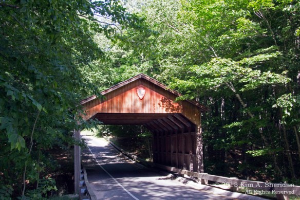01 MI Sleeping Bear Dunes_6493 a