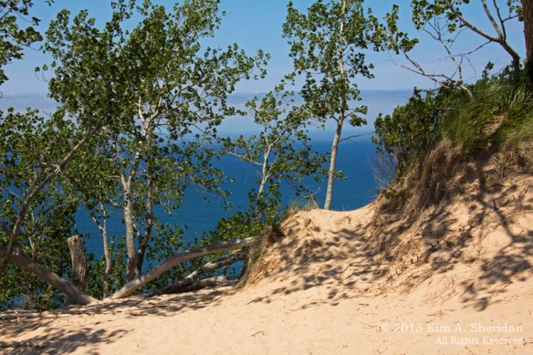 09  A MI Sleeping Bear Dunes_6718 a
