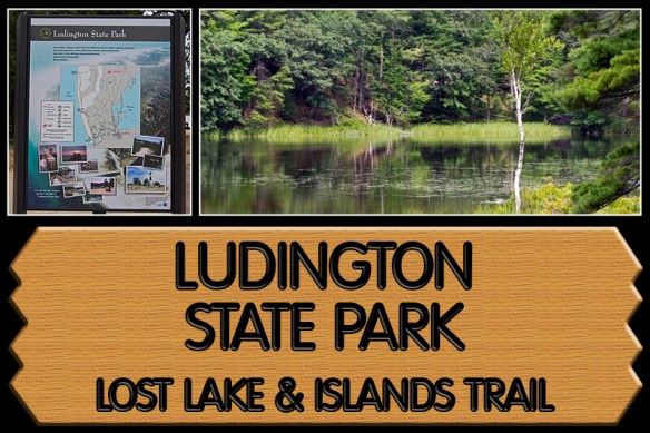 Ludington Collage 3
