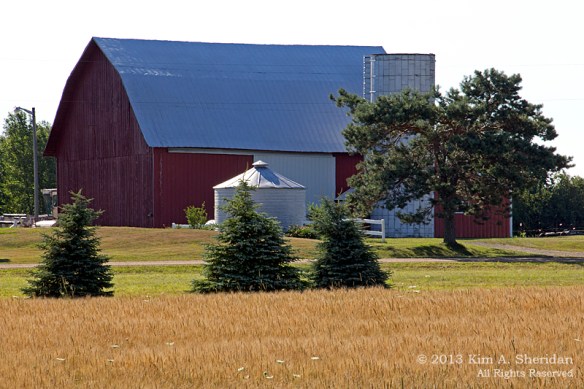 MI Farm Country_7577a