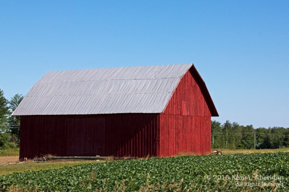 MI Farm Country_7594a