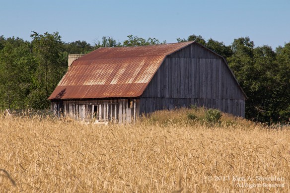 MI Farm Country_7610a