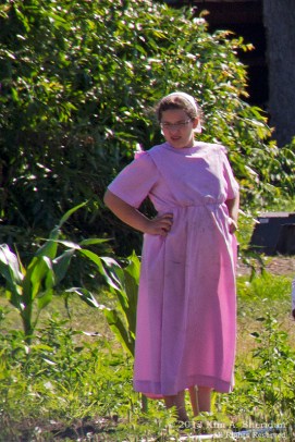 MI Farm Country_7618a