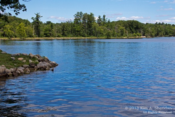 MI Mitchell SP Lake Cadillac_7523 a