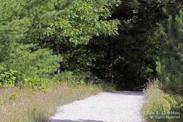 MI Mitchell SP_7201 a