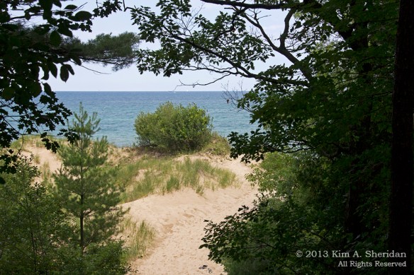 MI Nordhouse Dunes Lake & Dune_5838 a