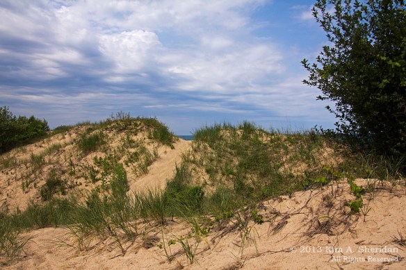 MI Nordhouse Dunes Lake & Dune_5846 a