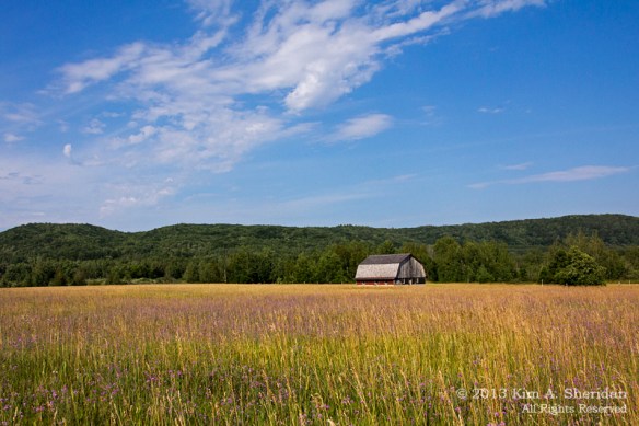 MI Sleeping Bear Dunes_6989a