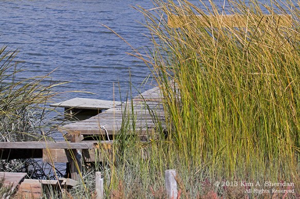 OC 51st Street Structures_5861 a