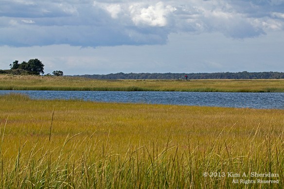 OC 51st Street_5847 a