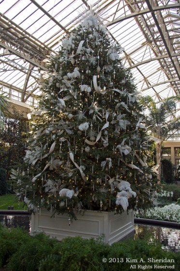 Longwood Xmas Crop_4823 ACS Print