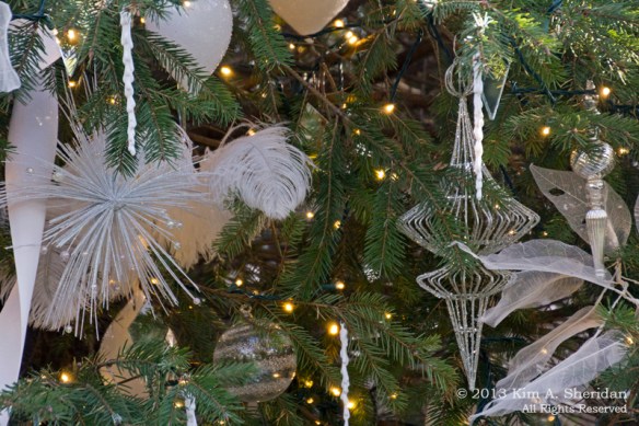 Longwood Xmas Crop_4827 ACS Print