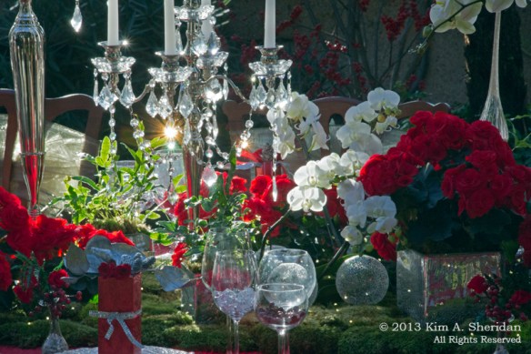 Longwood Xmas Crop_4854 ACS Print