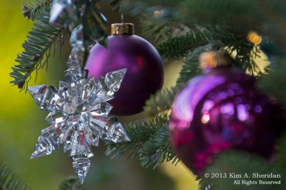 Longwood Xmas Crop_4950 ACS Print