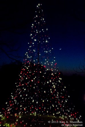 Longwood Xmas_5154 AS Orig