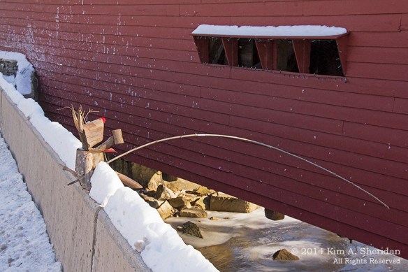 Bartams Bridge Guardian_0280acs