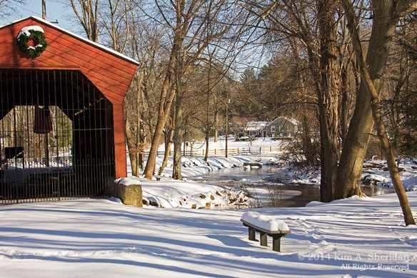Bartrams Bridge In Snow_0148a