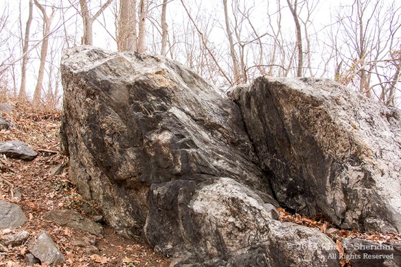 Ridley Creek Geocaching_9556acs