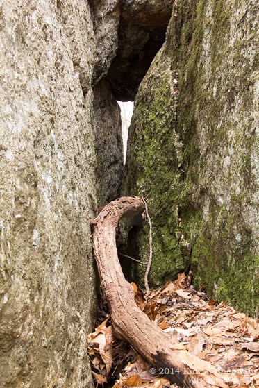 Ridley Creek Geocaching_9598acs