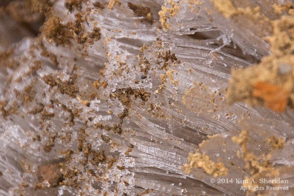 Ridley Creek Geocaching_9610acs