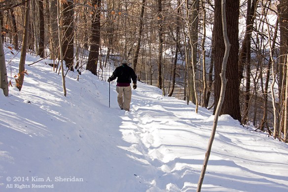 Smedley Snow_9901acs