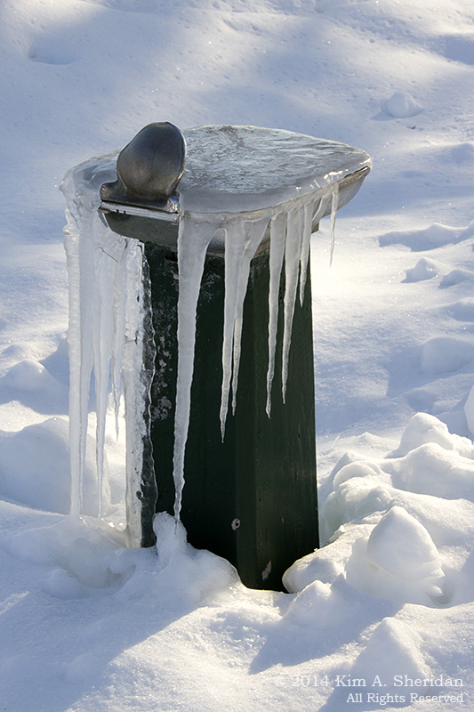 01 Valley Forge Farm_ 2350