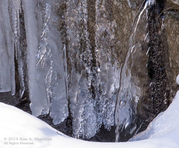 07 Valley Forge Valley Creek_ 2696a
