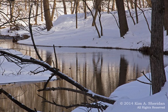 07 Valley Forge Valley Creek_ 2726a