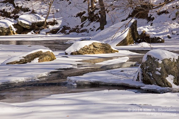 RCSP Ridley Creek Snow_ 0740