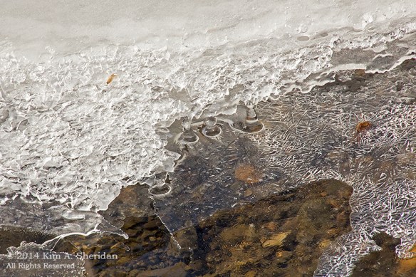 Smedley Crum Creek Ice_9957acs