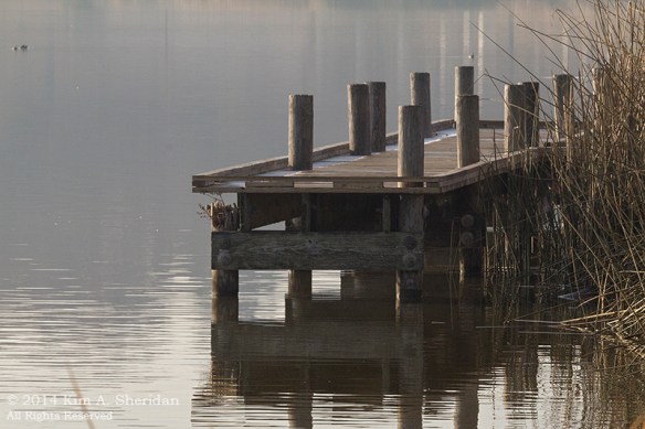 TX White Rock Lake_7398ACS