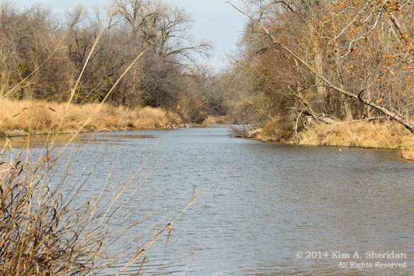 Fort Worth NCR Landscape_8108 a