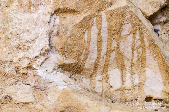 Fort Worth NCR Rock & Dirt_8057acs