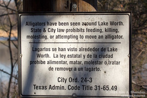 Fort Worth NCR Sign_7991a